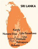 Čaje Mlesna Čaj Nuwara Eliya Tea , prémiový čaj z vysokohorské oblasti MLESNA (Ceylon) Ltd. pravý čaj z Cejlonu